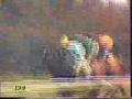 1985 (55) Premio DCION.GRAL.PCION.AGRARIA (Gr.III)(SI SEÑOR)