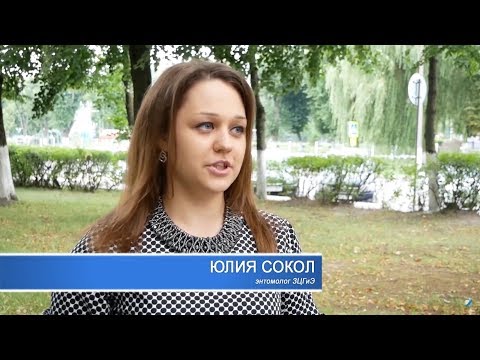 Актуальное интервью 29 июля 2018. Энтомолог ЗЦГиЭ Юлия Сокол.