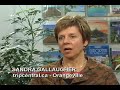 Mediterranean Cruising Sandra Gallaugher