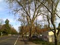 6001-6003 Stanley - Carmichael - Ca