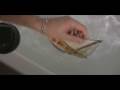 Pub bateau Skipper and Co compress2.avi