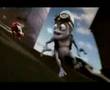 la rana loca crazy frog