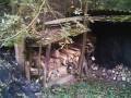 the underground airsoft division