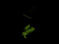 09022007.html