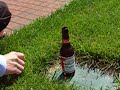 Larry and lee do the mentos challenge