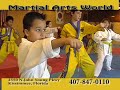 Martial Arts World