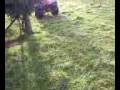videos de Mad Man On Trike