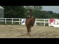 Sidesaddle Championships Freestyle' Class 　Michiko Asano