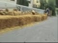 corsa carretti chianni 2008 corsa carretti chianni 2008