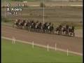 Derby Y - Yucca Boko