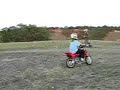 gopeds rock