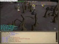 Ns + Dl Vs Anh + LF