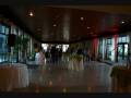 videos de saludonavidadmeetinn08.wmv