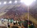 Panathinaikos ultras Gate13 - PAO gera
