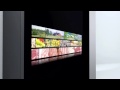 Electrolux Design Lab 2009 Finalist Teleport Fridge