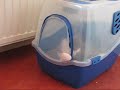 How to get out of a litter box