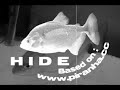 piranha club  korea 