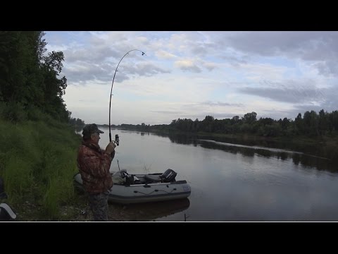 клев ельца в котласе клев ельца в котласе