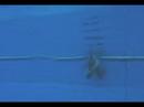 Adam Klemz and Theresa Swim video