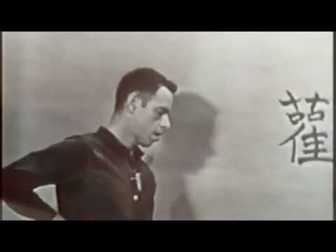 Alan Watts Video: “The Silent Mind” (Live Original TV Series)