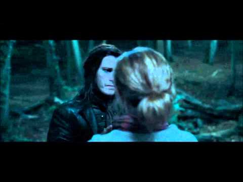 Harry Potter and the Deathly Hallows part 1 - Hermione and the Snatchers in the forrest (HD)