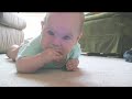 Bedelia Crawls