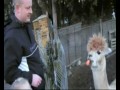 animal-love.html
