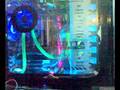 videos de 20082008005.mp4