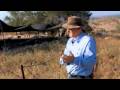 The Archaeologists - 1