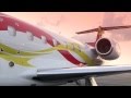 Jackie Chan's New Executive Jet.