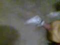 videos de La violacion a winy pooh