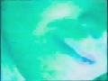Rexella - \"Mark of the Cobra God\" 2006