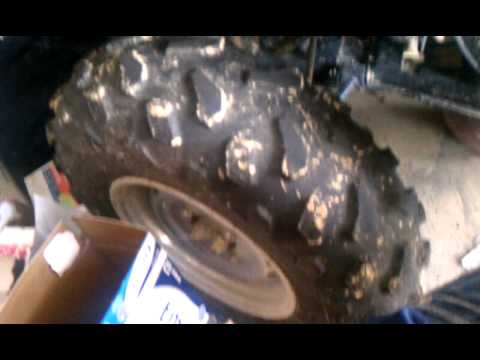 350 warrior 350 warrior