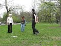 Cosplay WB auf dem 12.AlexTreff - Auftritt der Orga