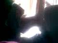 MAttAMOROOSS 11-19-2OO8