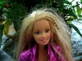 barbi barbi