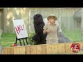 JustForLaughsTV - Painting Gorilla Prank