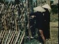 The Fight for Vietnam 