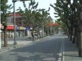 复旦大学
