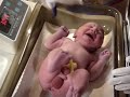 Owen Christpher Kingsbury Owen Christpher Kingsbury