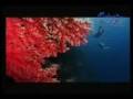 Malaysia - The Heart Of South East Asia
