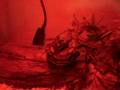 videos de New Snake- Baby Tiger Retic