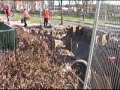 Filmpje! Bereikbaar, Leefbaar en Veilig Geuzenveld-Slotermee