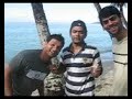 babblers porto rico 2007 trip