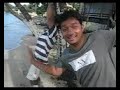 babblers porto rico 2007 trip