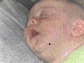 The Midnight Plumbers \"Lana\" Sleeping Baby Video