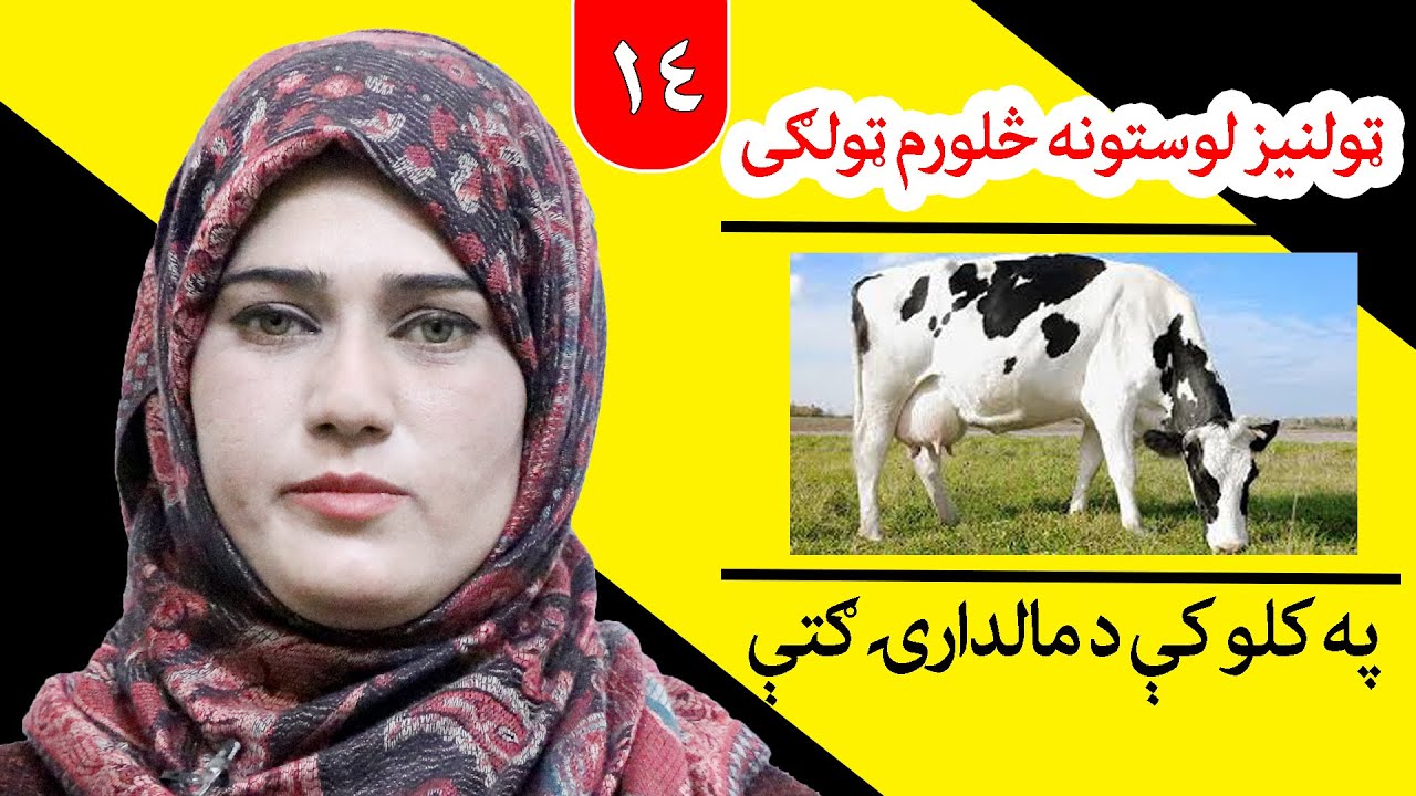Class 4 - life skill | Benefits of animal husbandry in villages - Lesson 14,