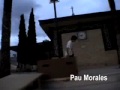 Skateboard - sk8camptrois
