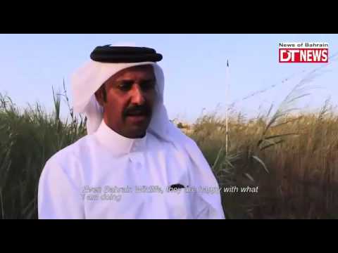 Bahraini chronicles over 17k migratory birds . Bahraini chronicles over 17k migratory birds .