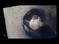 very cool video of a volcano erupting from the space station http://is.gd/1jYPr